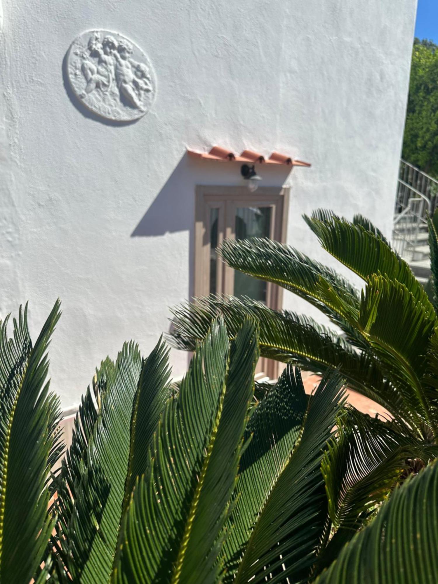 Carruba Ischia