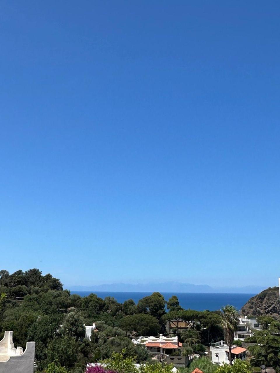 Carruba * Ischia